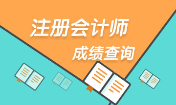 上海2020年注会考试成绩查询入口