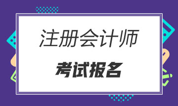 广西南宁2020年注册会计师补报名时间 