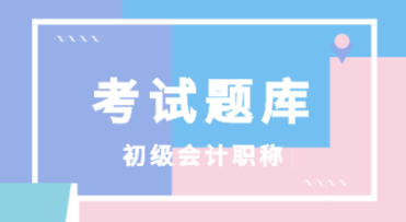 湖南省2020初级会计考试机考系统