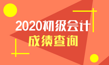 2020年上海初级会计考试成绩查询时间在什么时候？