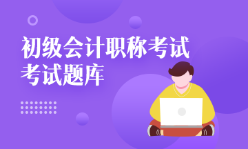 2020年湖南省初级会计师考试题库有什么？