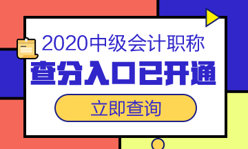 云南昭通2020年中级会计师成绩查询入口
