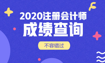 四川2020年CPA成绩查询时间