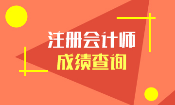 广东广州2020年注册会计师成绩查询相关信息