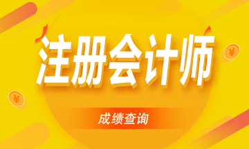 2020年西藏注册会计师成绩查询时间