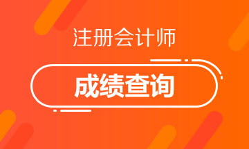 2020年上海注会考试成绩查询入口及时间