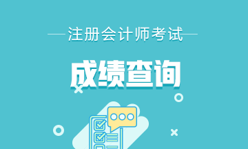 重庆2020年注册会计师考试成绩出了 快去查询吧