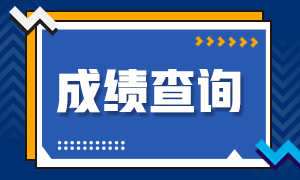 上海2020年注册会计师成绩查询时间