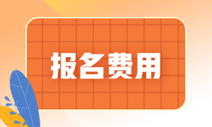 上海市宝山区2022年初级会计职称考试报名费是多少钱？