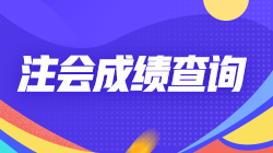 上海2021年注册会计师考试成绩查询时间来喽！