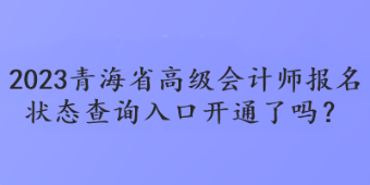 2023青海省高级会计师报名状态查询入口开通了吗？