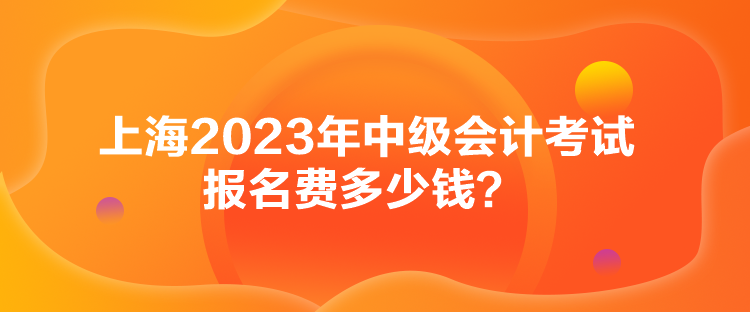 上海2023年中级会计考试报名费多少钱？