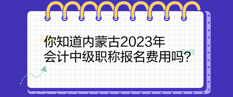 你知道内蒙古2023年会计中级职称报名费用吗？