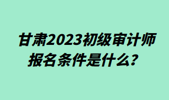 甘肃2023初级审计师报名条件是什么？