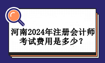 河南2024年注册会计师考试费用是多少？