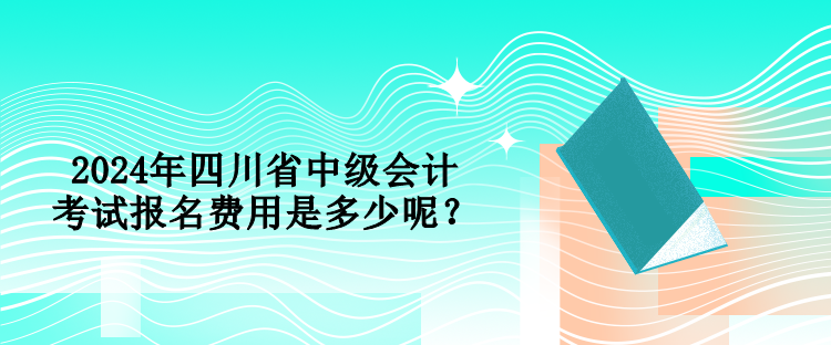 2024年四川省中级会计考试报名费用是多少呢？