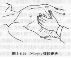 胆囊的触诊