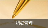 组织管理 组织管理