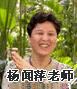 正保会计网校老师：杨闻萍老师