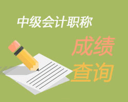 中级职称成绩查询