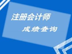 注册会计师成绩查询时间