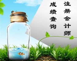 注册会计师成绩查询时间