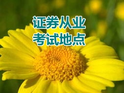 2015年证券从业资格预约式考试地点