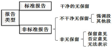 审计报告类型