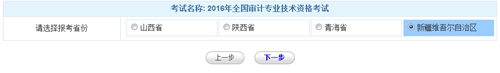 新疆2016年初级审计师考试报名入口