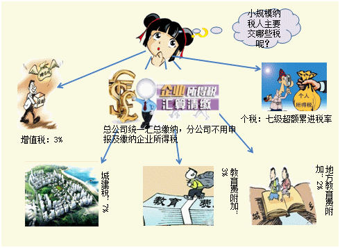 零基础会计上岗训练营《财务实操》课程开通啦