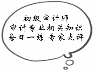 初级审计师《审计专业相关知识》易错题点评