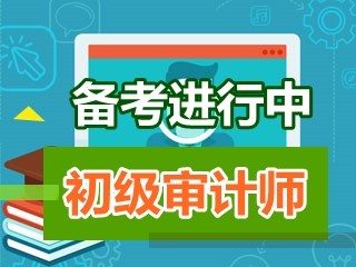 初级审计师《审计理论与实务》知识点