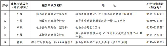 山东烟台高级会计师现场审核地点