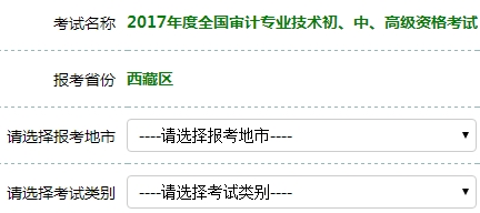 2017年审计师考试报名入口