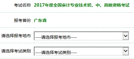 2017年审计师考试报名入口开通