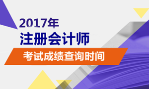 广西省2017cpa成绩什么时间公布