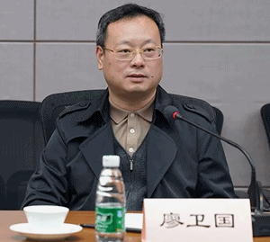 国家税务总局纳服司副司长廖卫国讲话