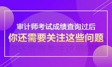 广东2017年审计师考试考后资格复核时间