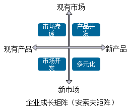 2018高级会计师新教材知识点：密集型战略