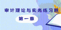 2019年审计师《审计理论与实务》第一章练习题摘选