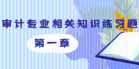 2019年审计师《审计专业相关知识》第一章练习题摘选