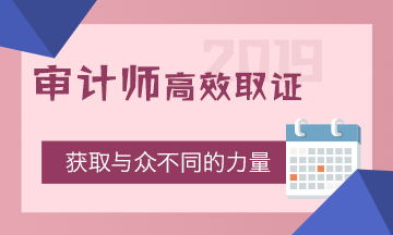 2019审计师考试时间确定