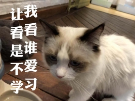 注会经济法试题