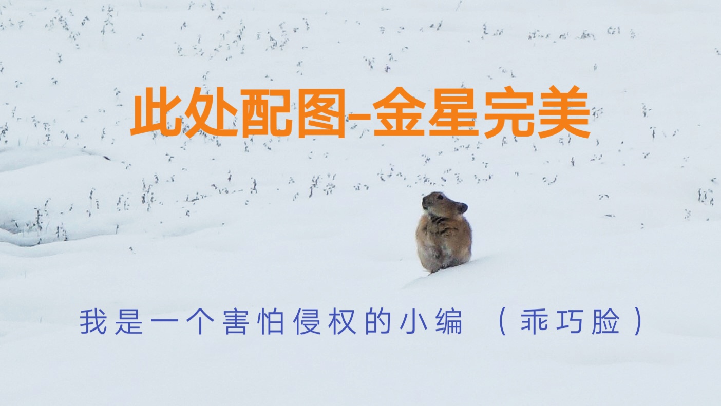 初级会计3