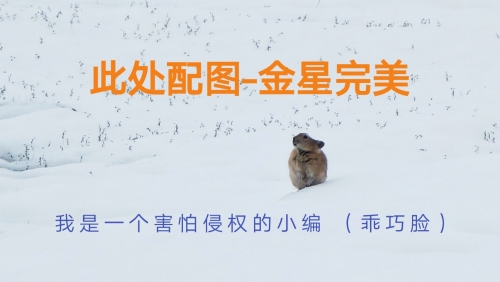 初级会计3