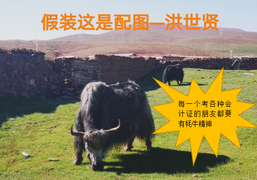 初级会计7