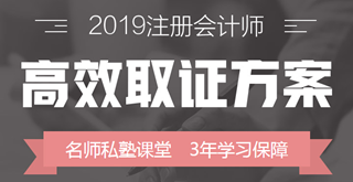 2019年注册会计师《审计》大纲变动内容