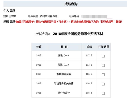 税务师王君君