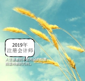 注会2019