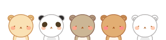 中级会计考试